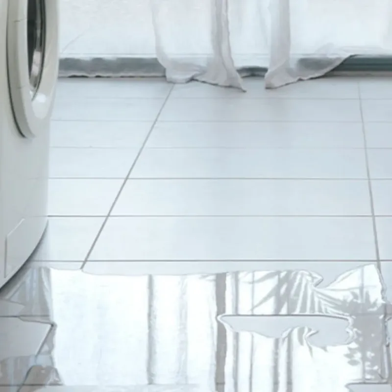 Appliance Leak Cleanup in Vernon County, WI