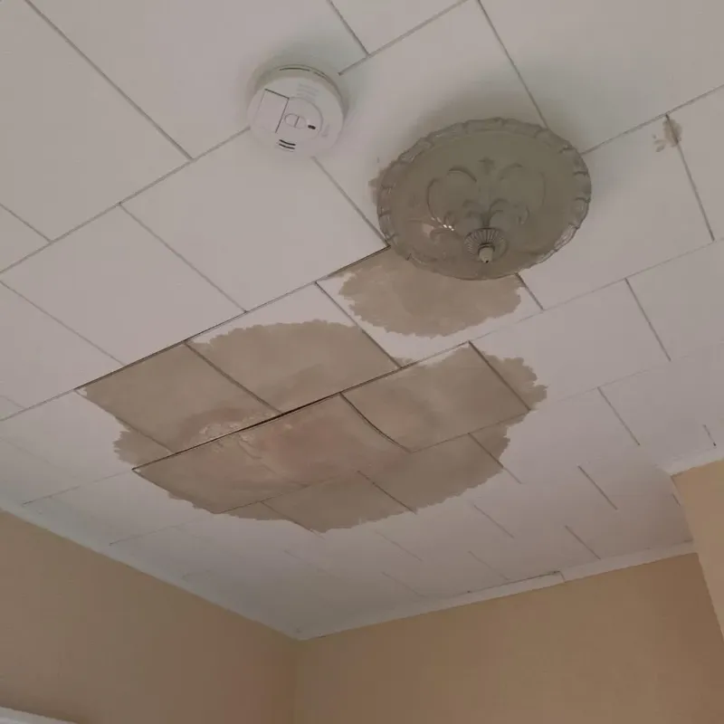 Ceiling Water Damage Repair in Vernon County, WI