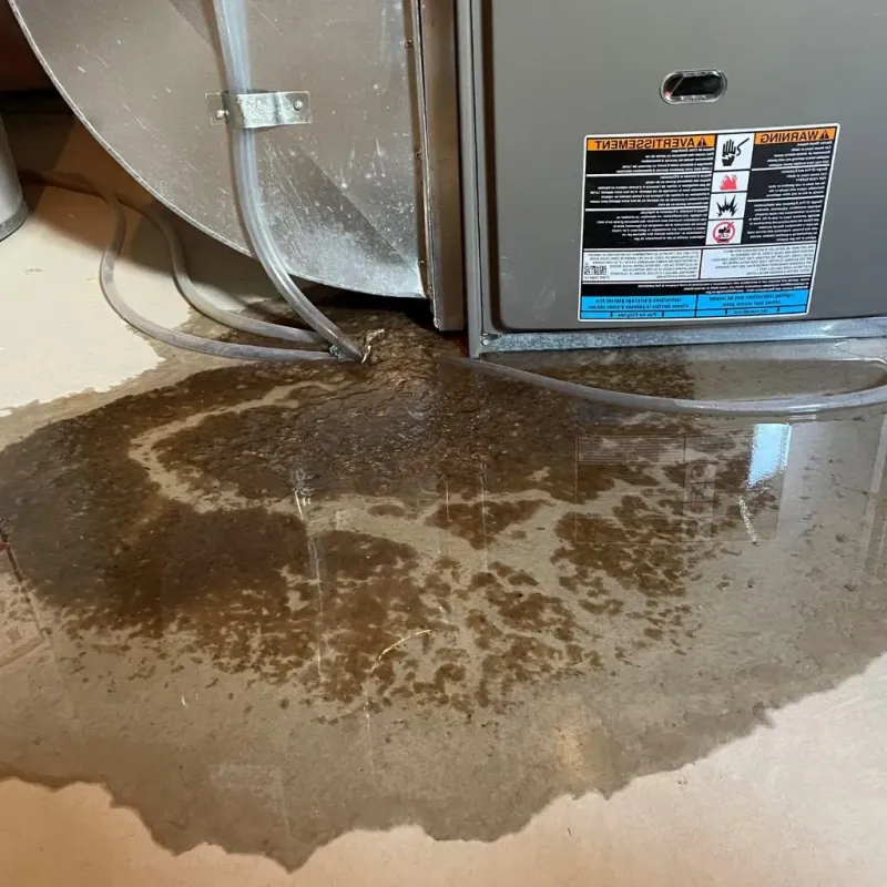 Pipe Burst and Leak Restoration in Vernon County, WI
