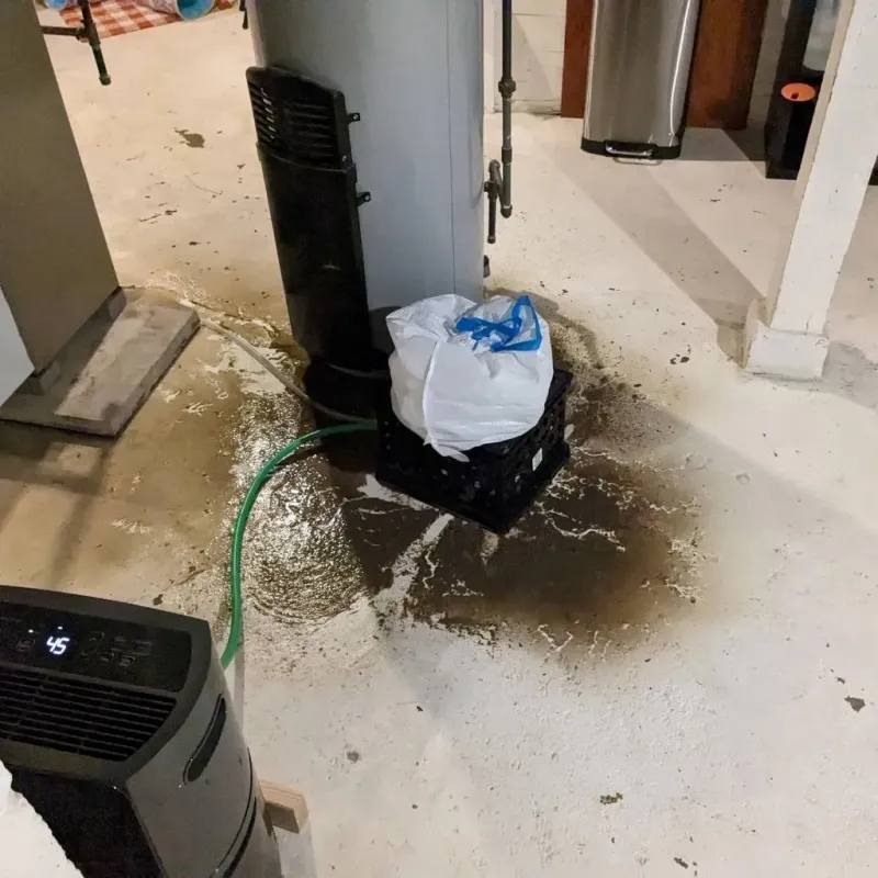 Sewage Backup Cleanup Service in Vernon County, WI